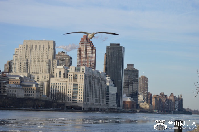 DSC_0907.jpg