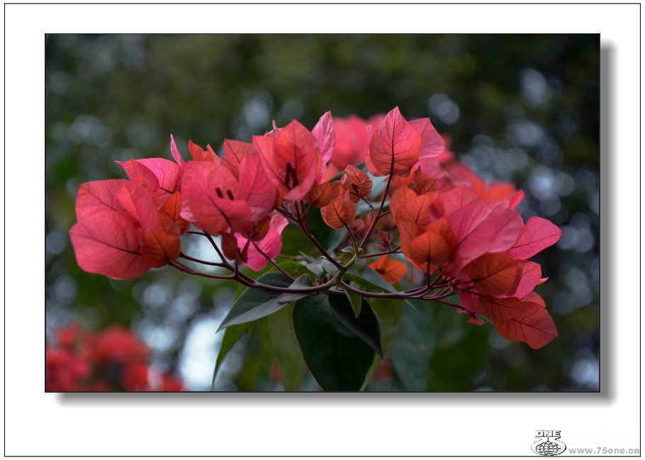DSC_3986_1.JPG