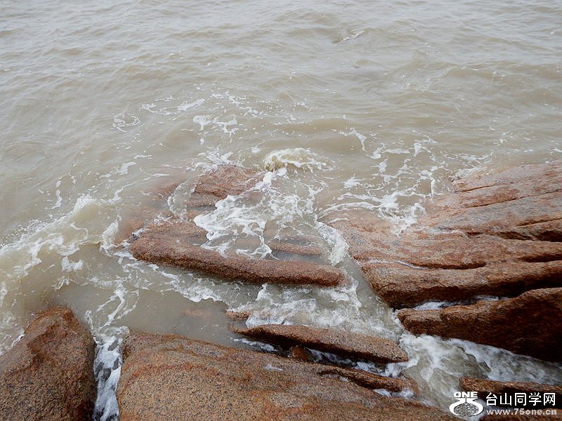 DSCF2366.jpg