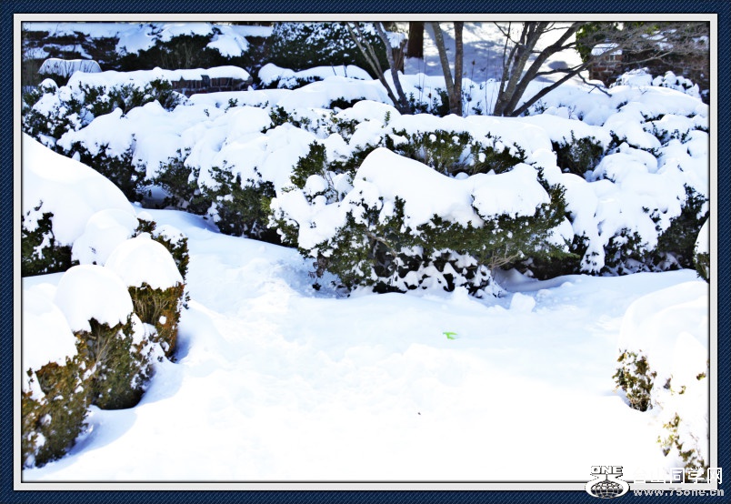 _MG_5478_meitu_8.jpg