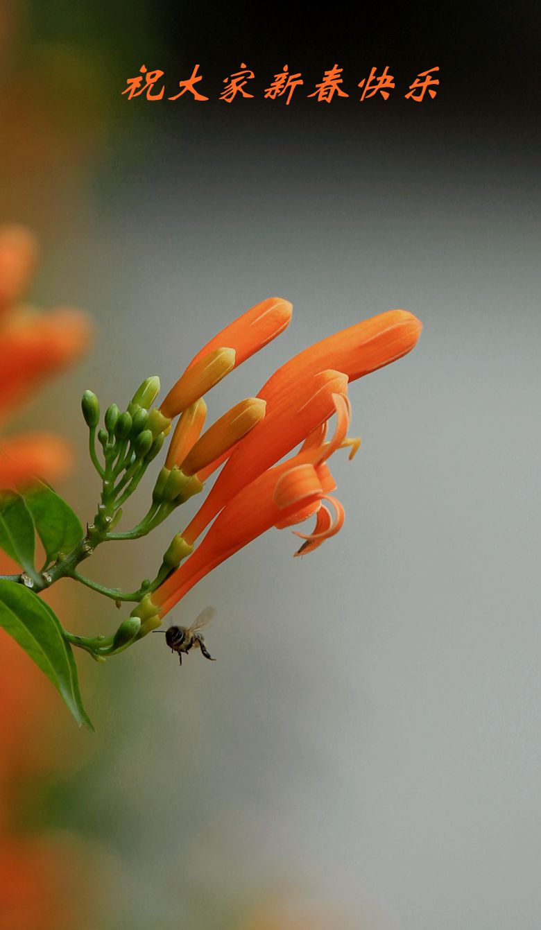 IMG_8953__.jpg