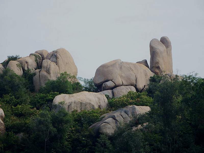 DSCF7337.jpg