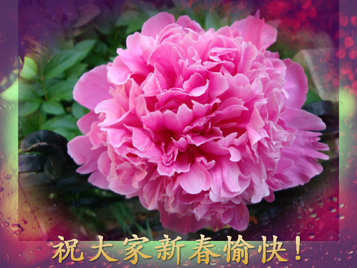 δ_meitu_4.jpg