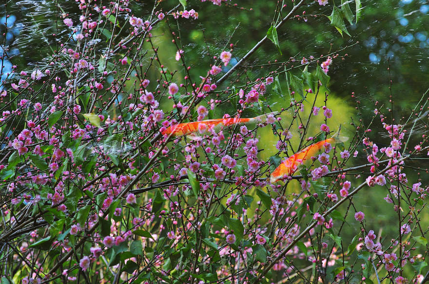 DSC_0073.jpg