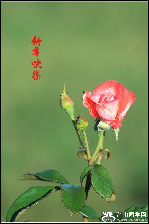 DSC_3975.JPG