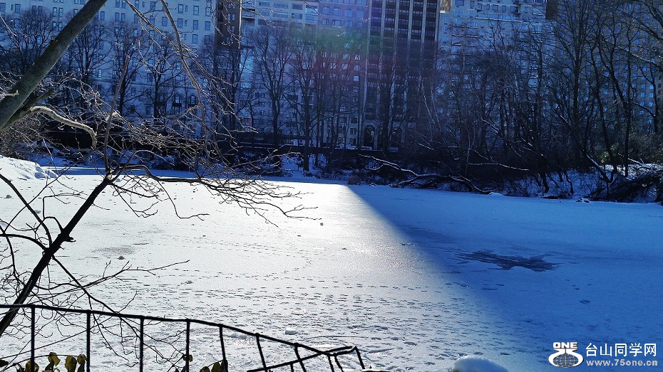 20150205_142720_conew1.jpg