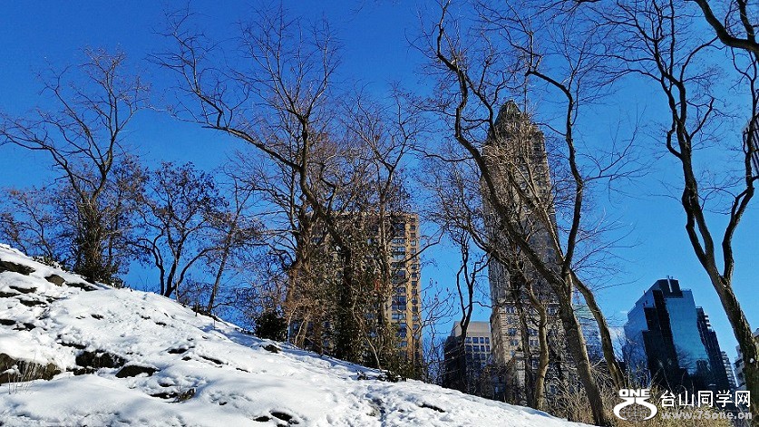 20150205_143201_conew1.jpg
