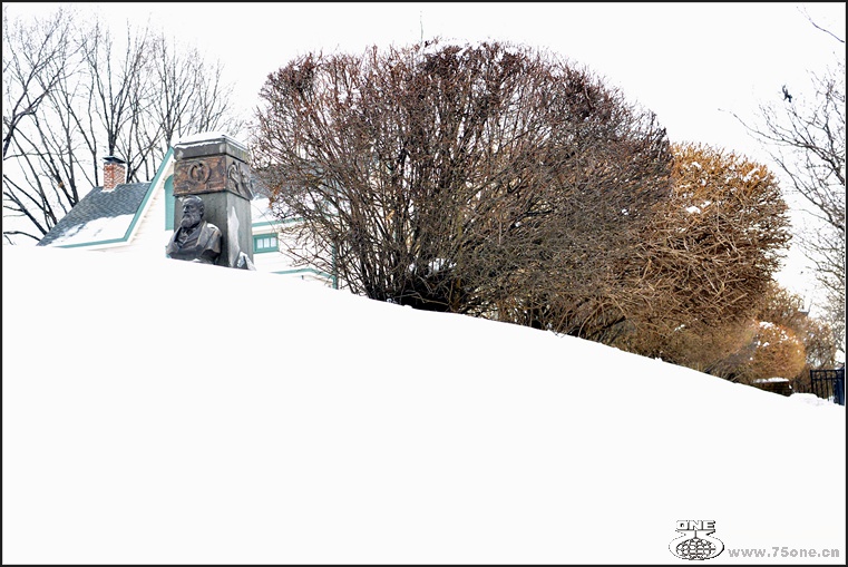 DSC_1037.jpg