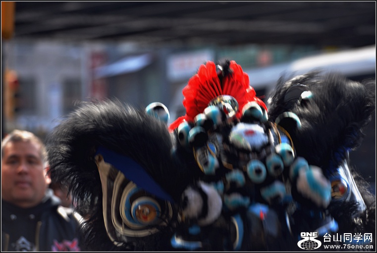 DSC_0037.jpg