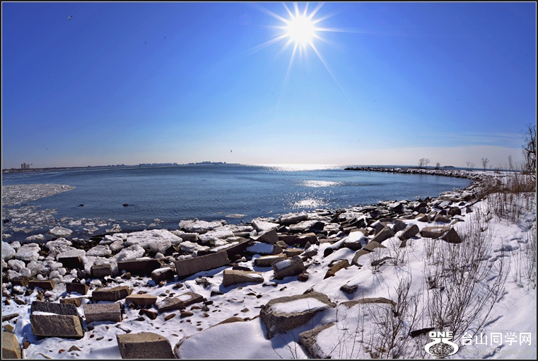 DSC_0655.jpg