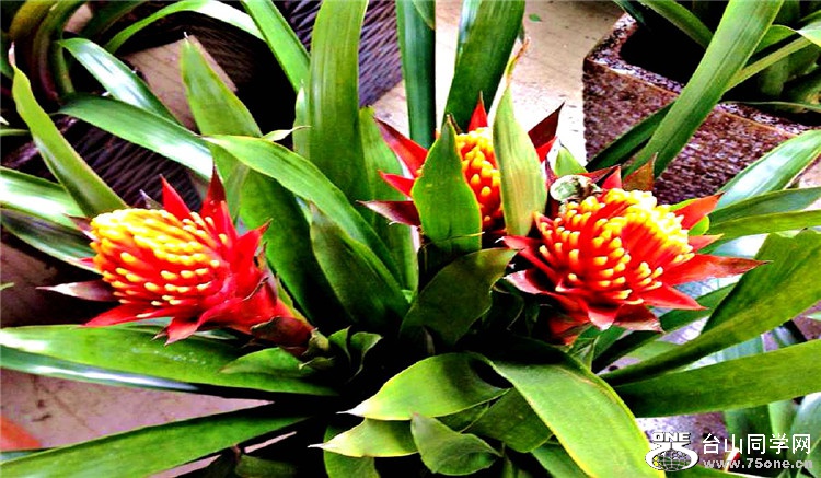 20150210_120800_259_.jpg