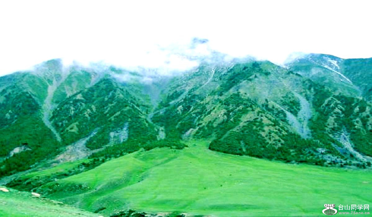 2009429125444288.jpg
