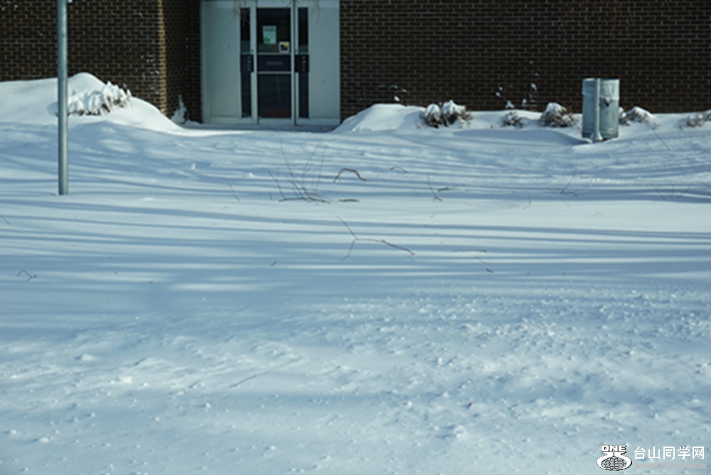 DSC01842.jpg