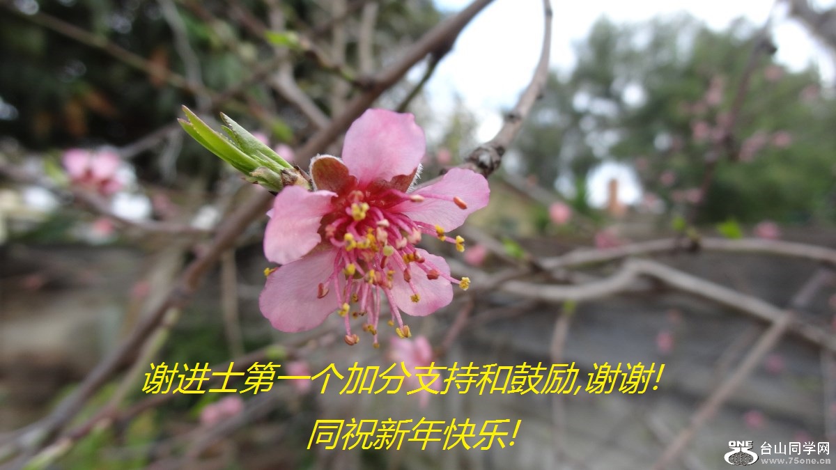 лʿһӷֺ֧͹,лл!ͬף!.jpg
