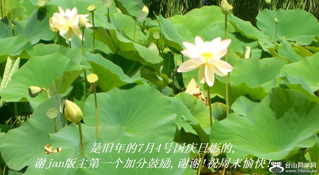 Ǿ74ŹӰ,лjanһӷֹ,лл!ףĩ!.jpg
