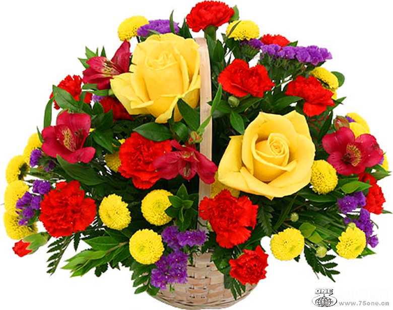 colourful-basket_.jpg