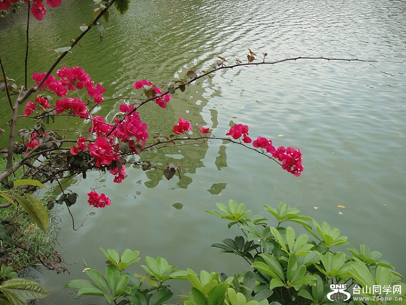 DSC00523.JPG