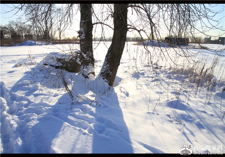 IMG_3674_.jpg