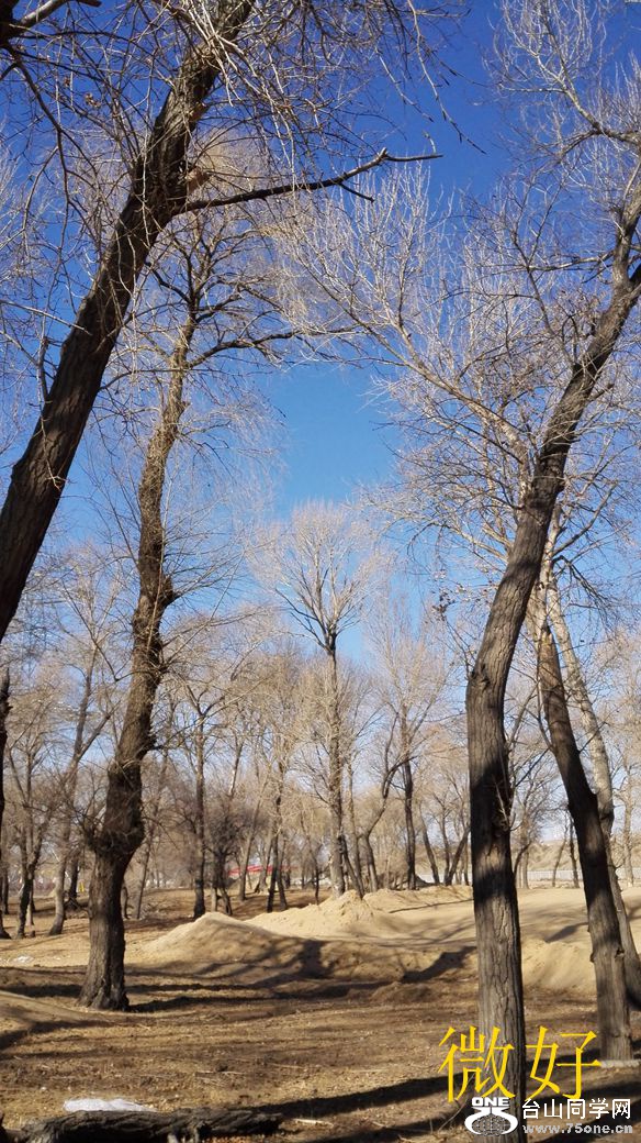 IMG_20150309_152731_.jpg