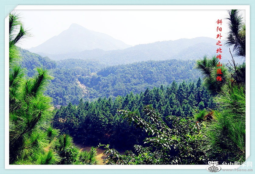 _MG_87552014--8-8-1_.jpg
