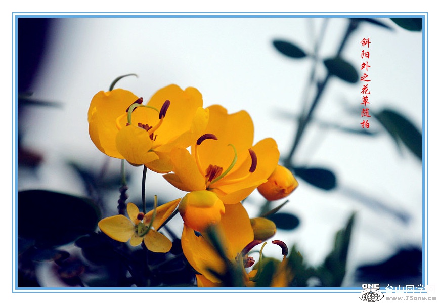 _MG_15292015.2.25_.jpg