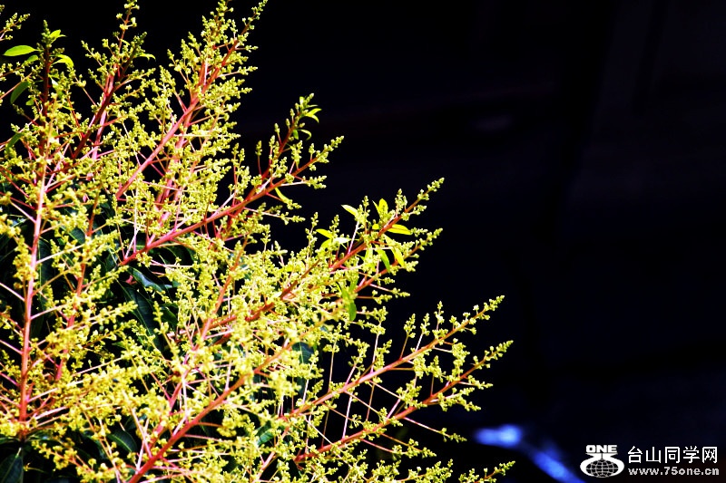 _MG_13402015.2.25_.jpg