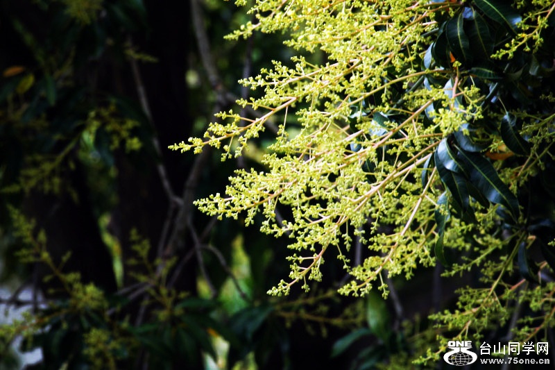 _MG_13222015.2.25_.jpg