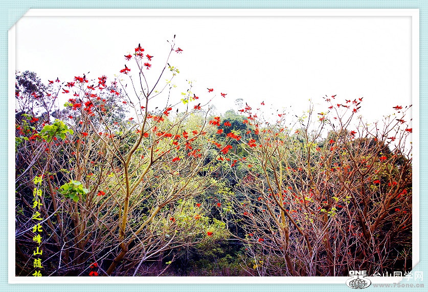 _MG_07872015.1.1_.jpg