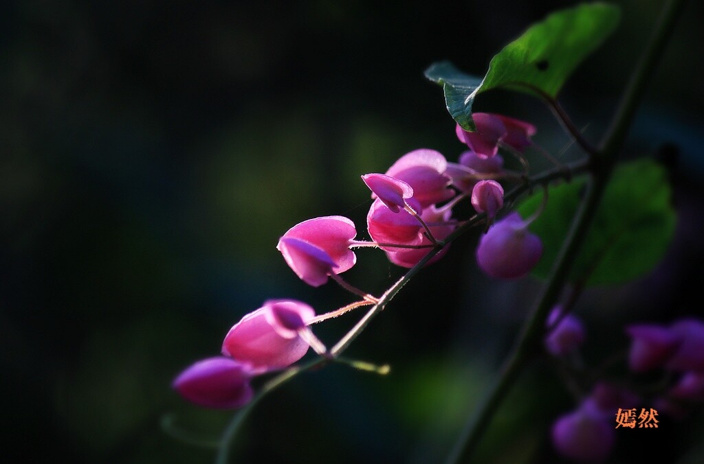 QQͼƬ20141225215707.jpg