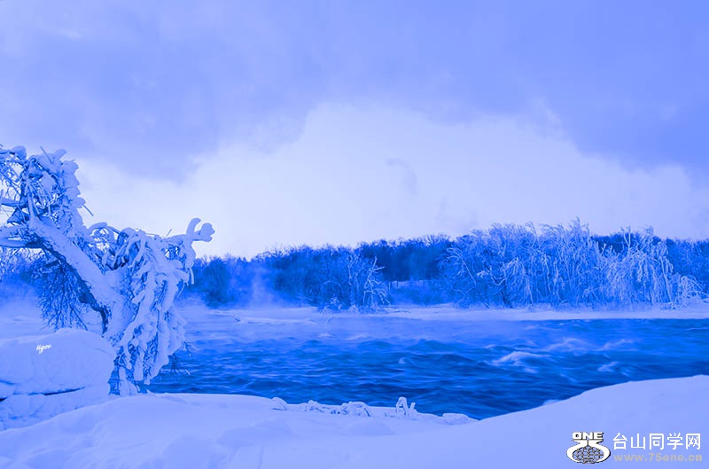 DSC_6174s.jpg