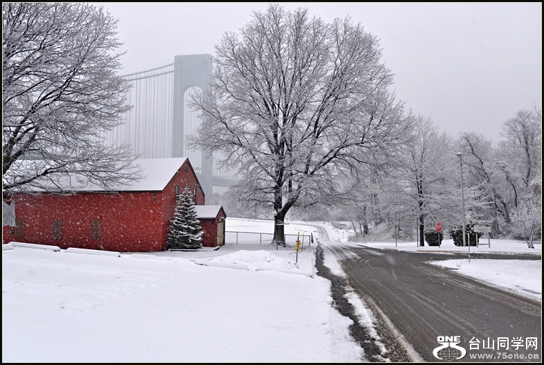 DSC_2050.jpg