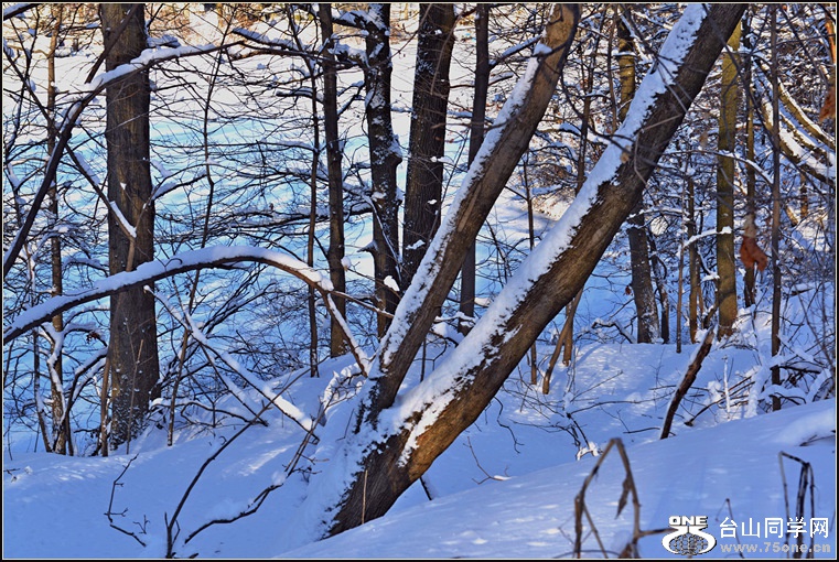DSC_2463.jpg