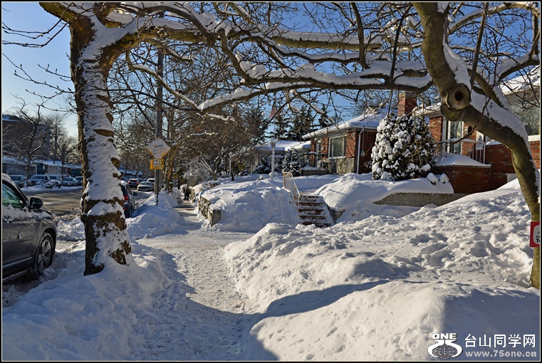 DSC_2445.jpg