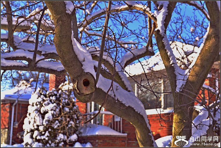 DSC_2446.jpg