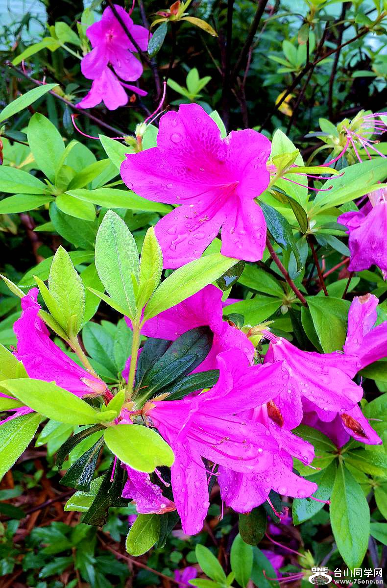 20150315_093200.jpg