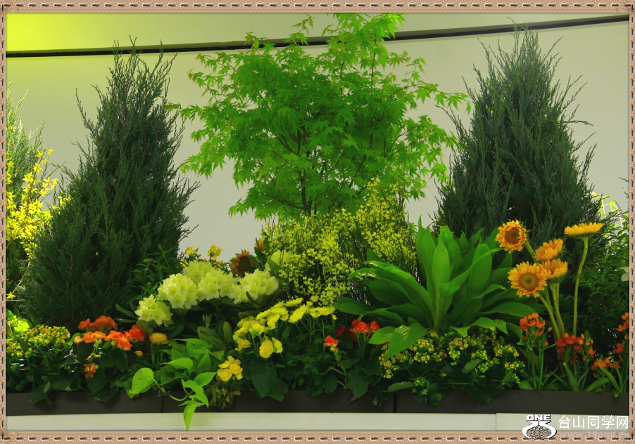_MG_1785_meitu_57.jpg