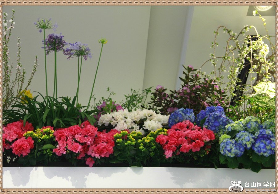 _MG_1793_meitu_48.jpg