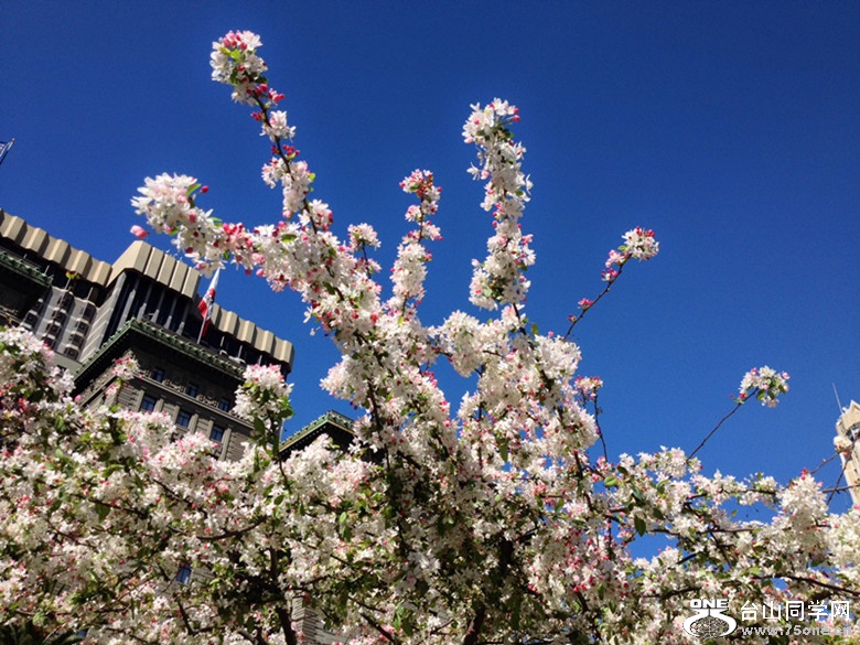 照片 (13)_����.jpg