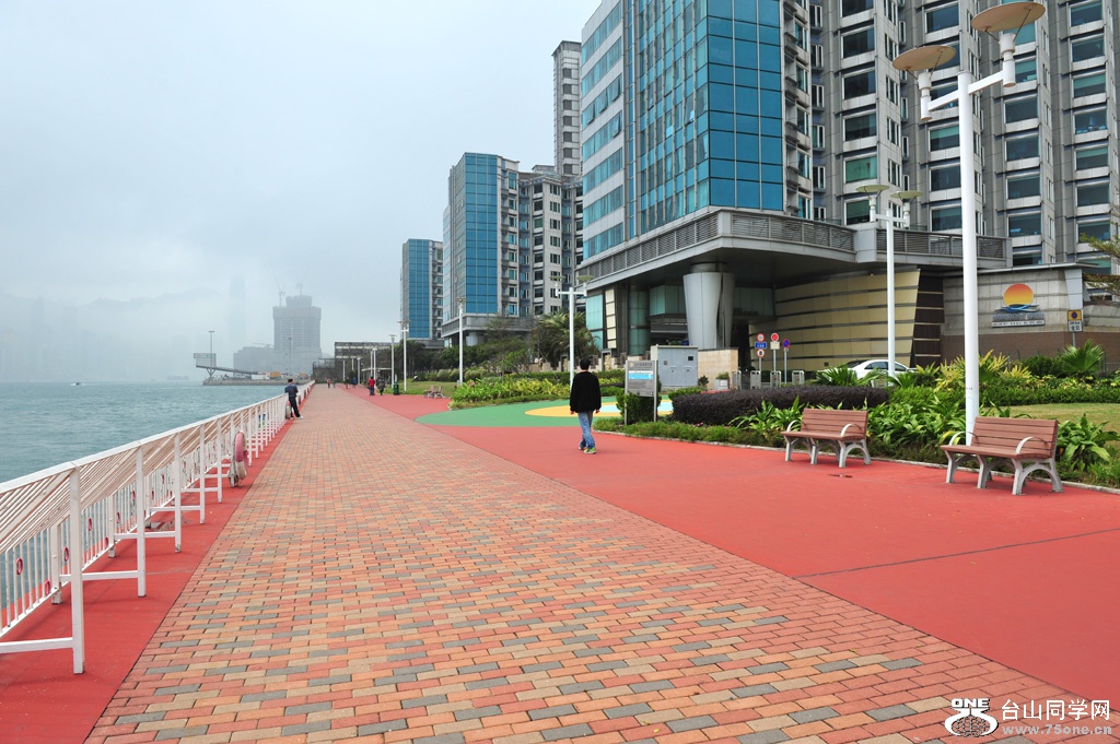 DSC_2380.JPG