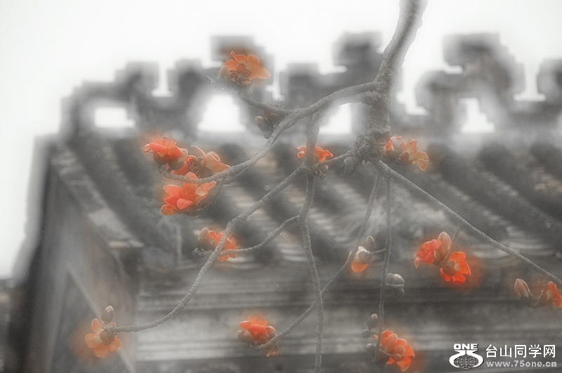 301_0438aa.jpg