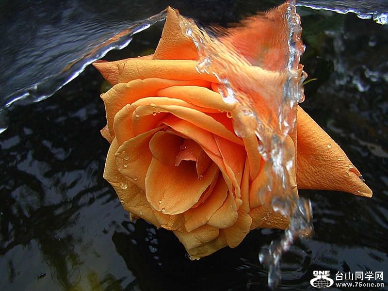 0 (88).jpg