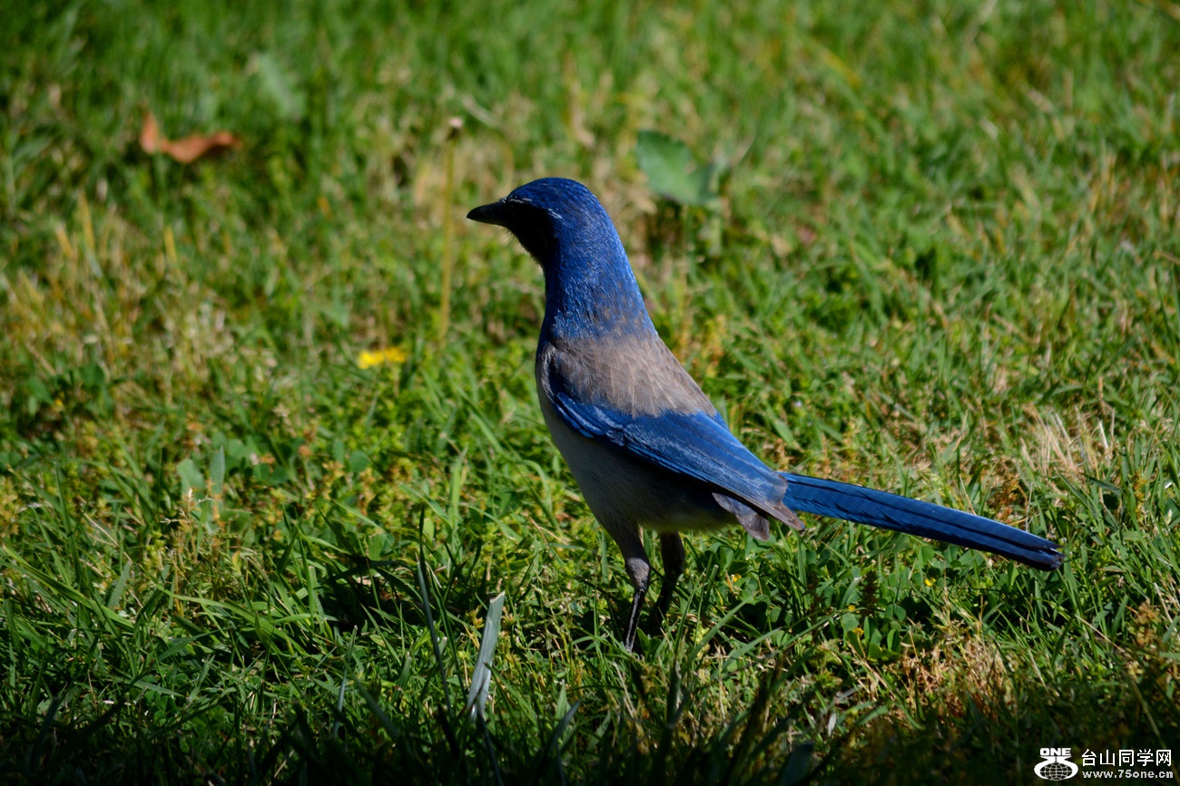 DSC_6784_7.jpg