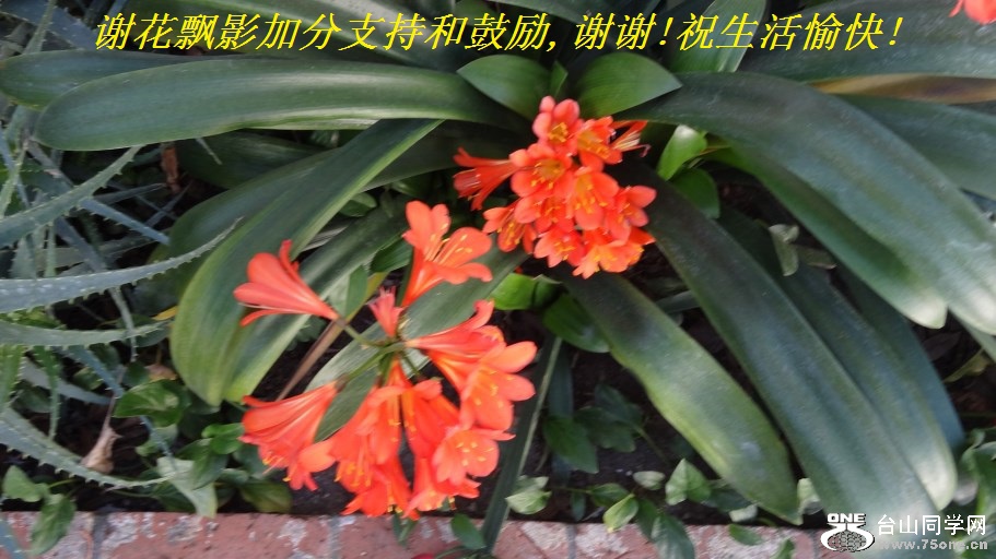 лƮӰӷֺ֧͹,лл!ף!.jpg