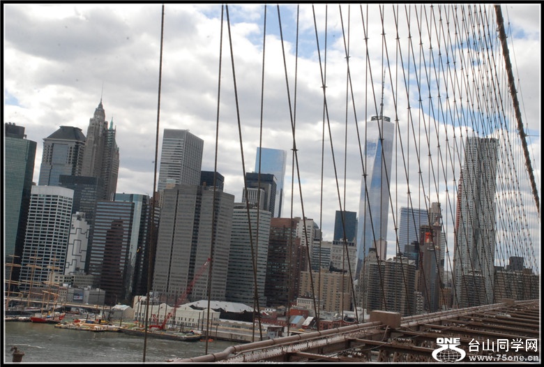 DSC_0384.jpg