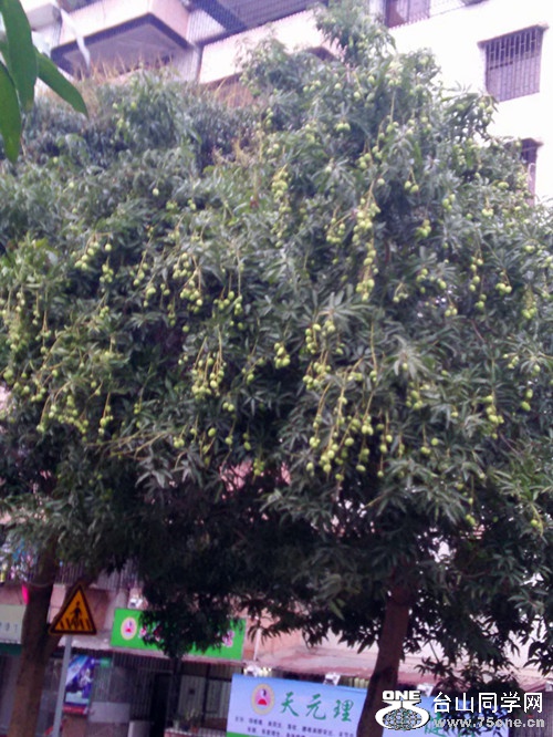IMG20150401175435_.jpg