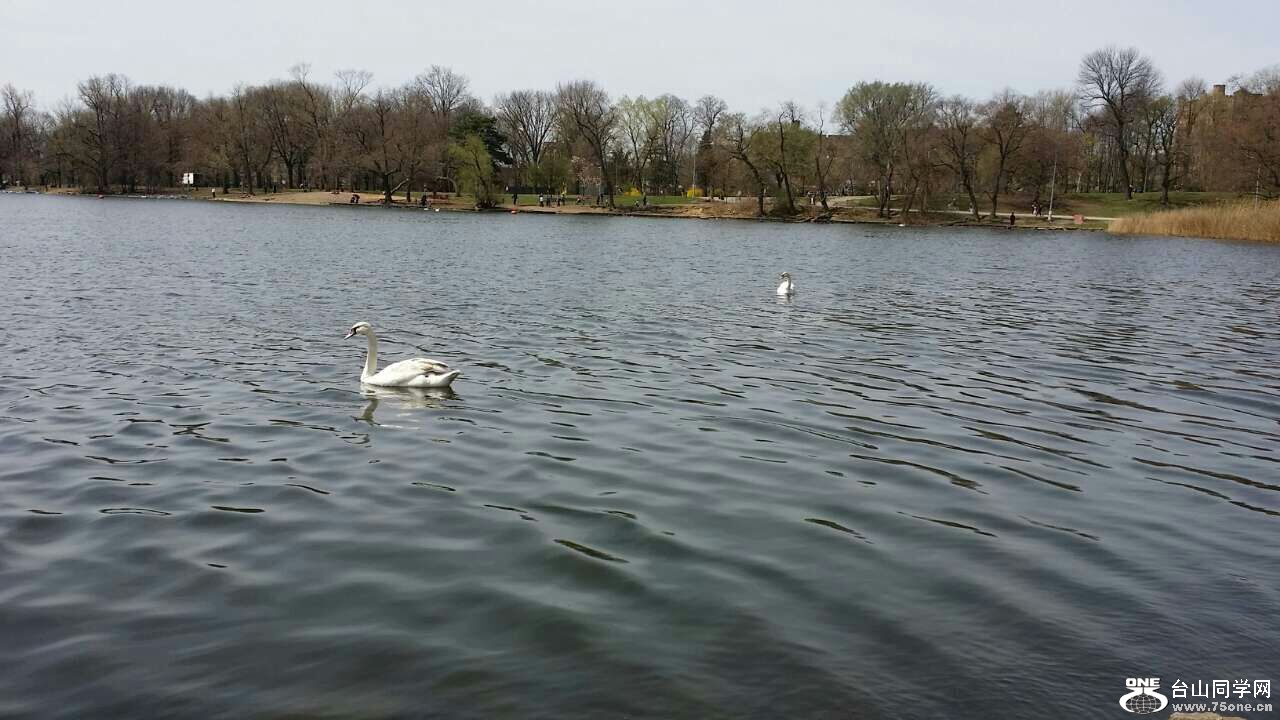 20150420220538.jpg