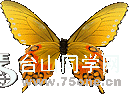 601cec86t728e4287ecca&amp;000.gif