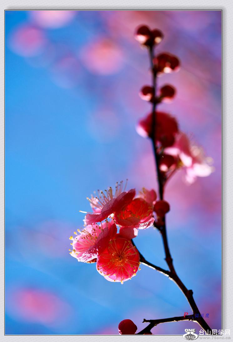 �}�u -3N9A0935-2.jpg