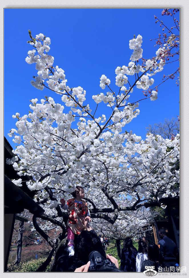 �}�u -3N9A2110-2.jpg