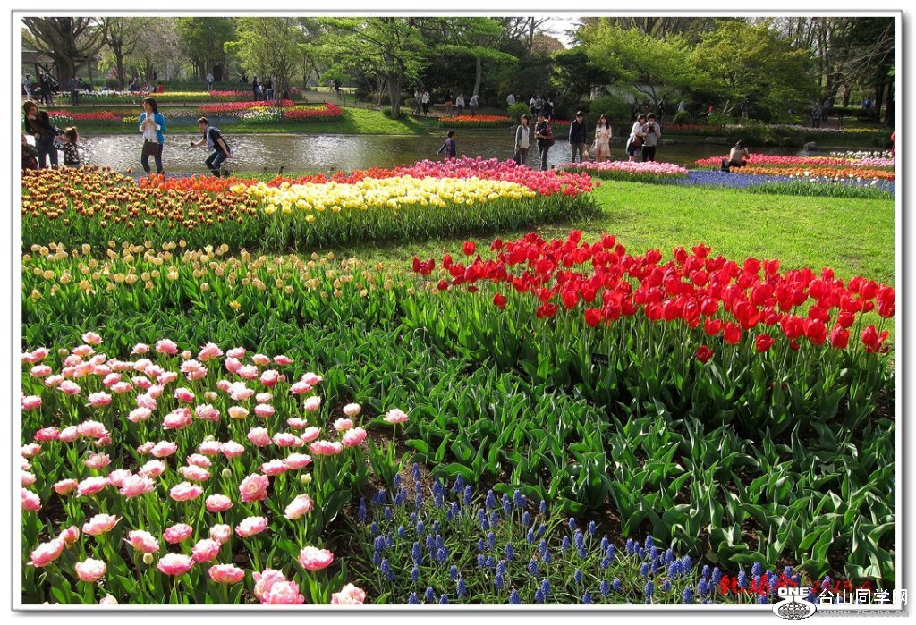 �Ѻ͹�԰F002 (2).jpg